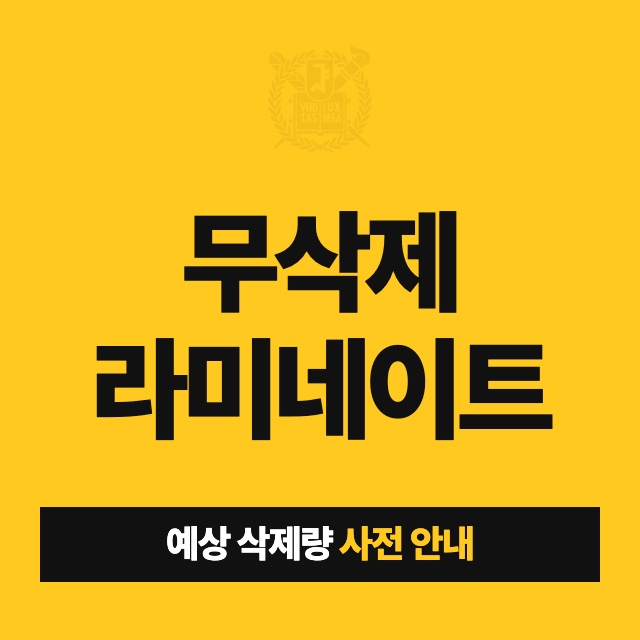무삭제 라미네이트