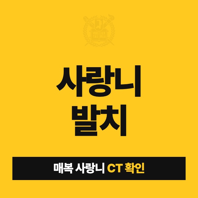 사랑니 발치