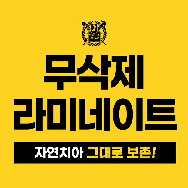 무삭제 라미네이트